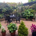 Lovely Garden at the Swallow Hotel Bridlington